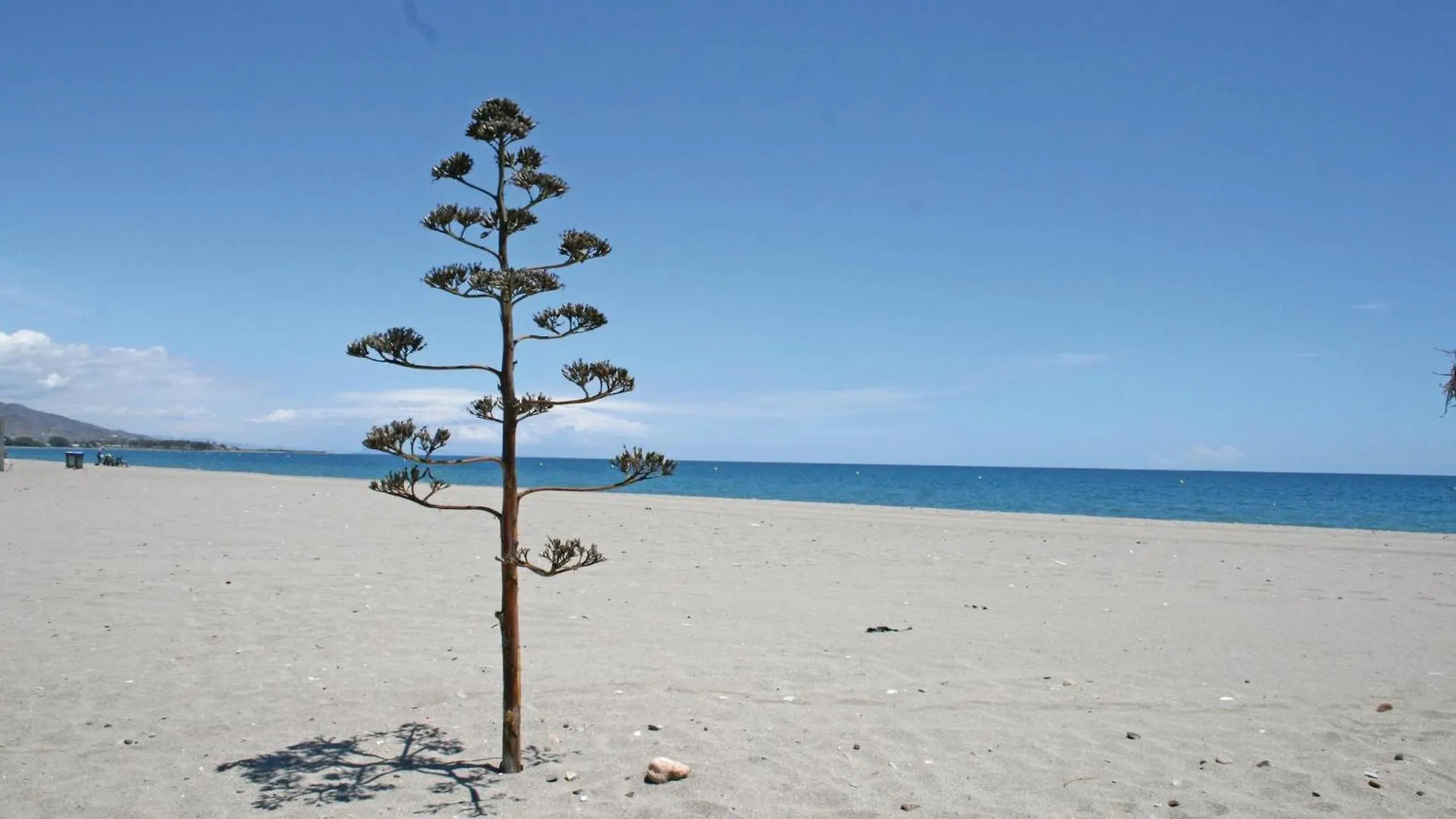 2 Bedroom Stunning Apartment In Vera Playa Media Legua Espanha
